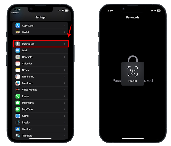 open-passwords-in-iphone-settings