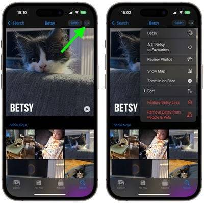 pet-photo-options