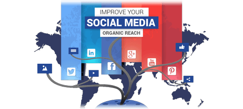 improve-your-social-media-organic-reach